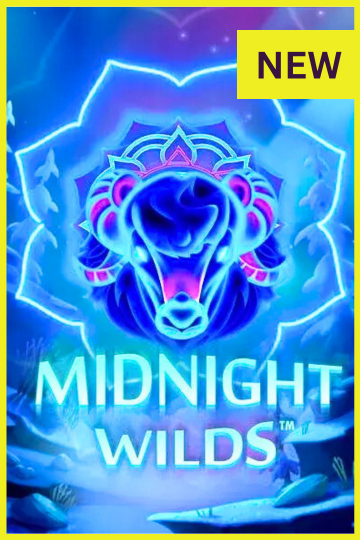 Midnight wilds